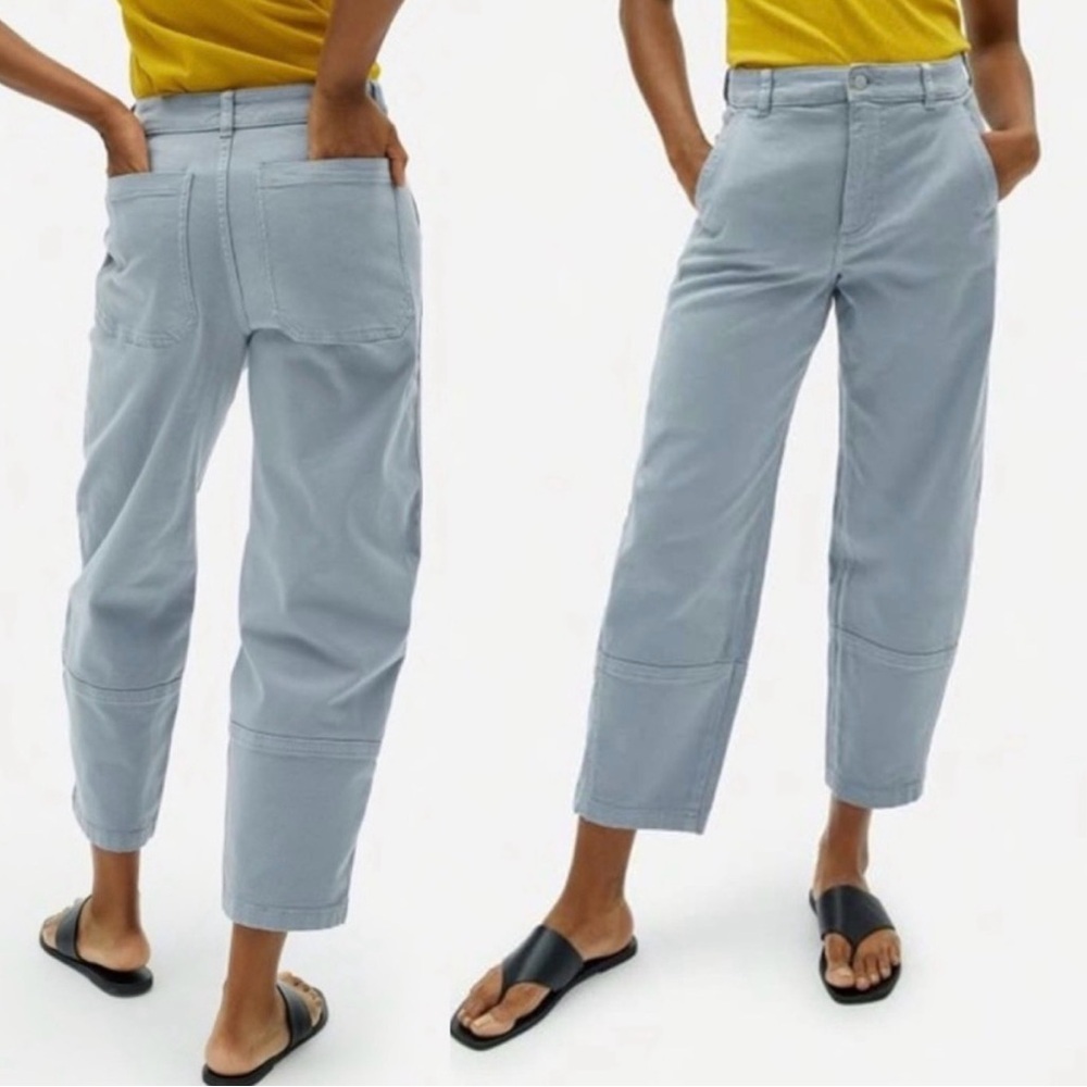 Everlane The Utility Barrel Pants